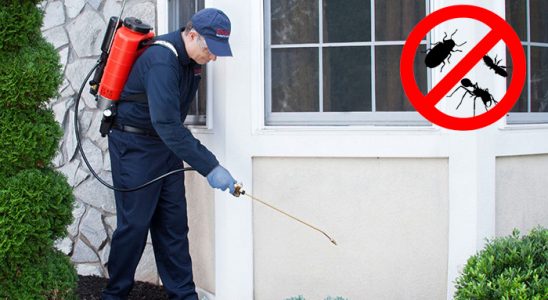 Onikişubat Böcek ve Haşere İlaçlama böcek ilaçlama ve haşere kontrolü — ilaclama-tr.com